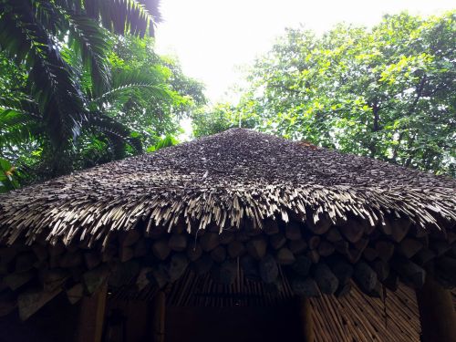 Hay Roof Hub In Tropical Area