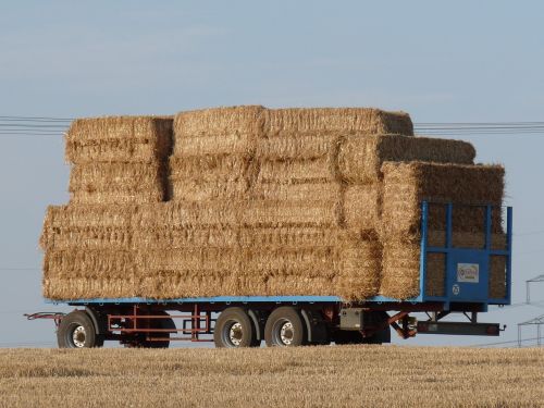 hay wagon agriculture harvest