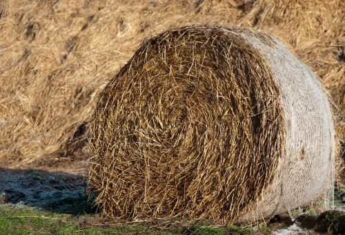 haystack straw agriculture
