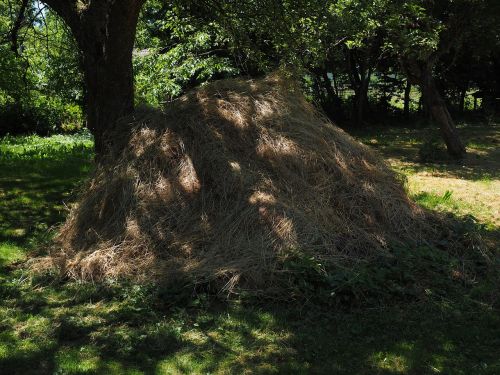 haystack hay grass pile