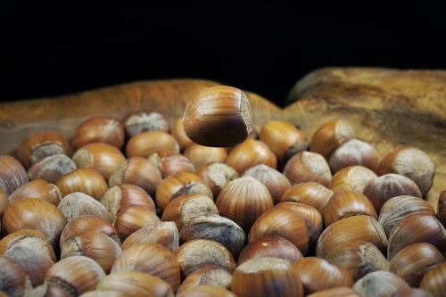 hazelnut shell brown
