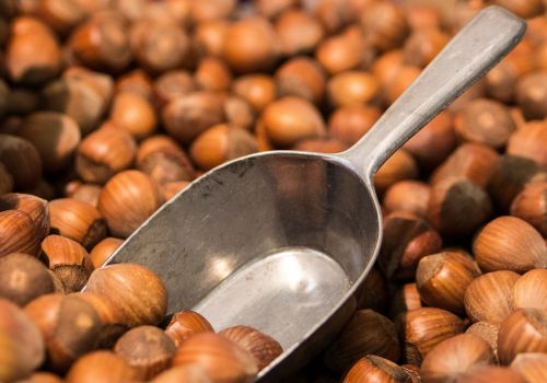 hazelnuts nuts brown