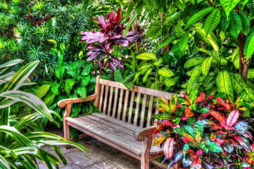 hdr greenhouse garden