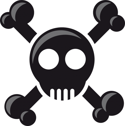 head pirate skull