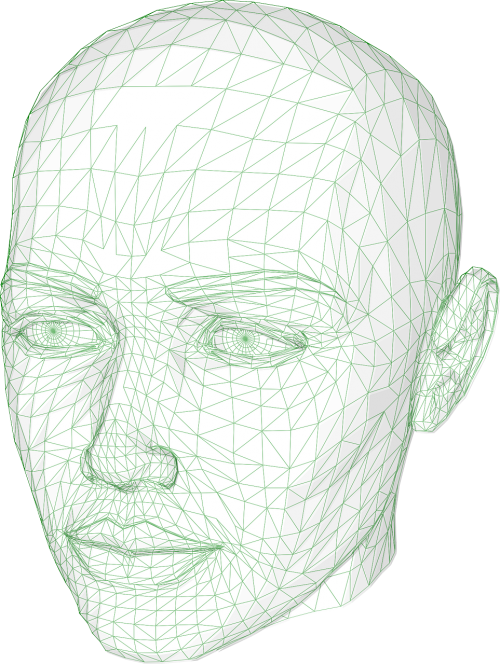 head wireframe graphics model