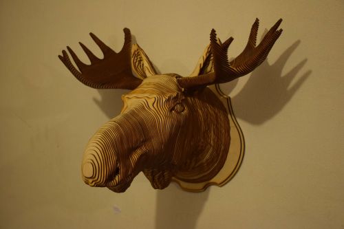 head elk tree