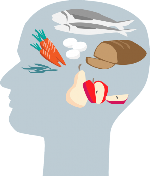 head brain nutrition