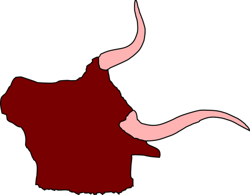 head farm bull
