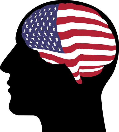 head  america  flag