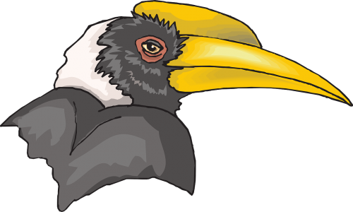 head bird hornbill