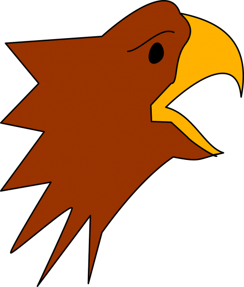 head eagle style