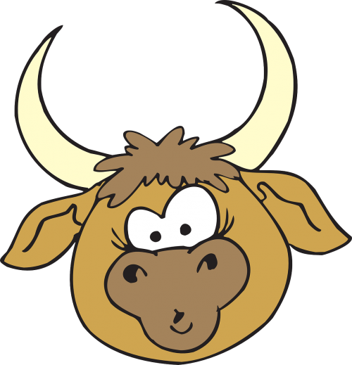 head bull horns