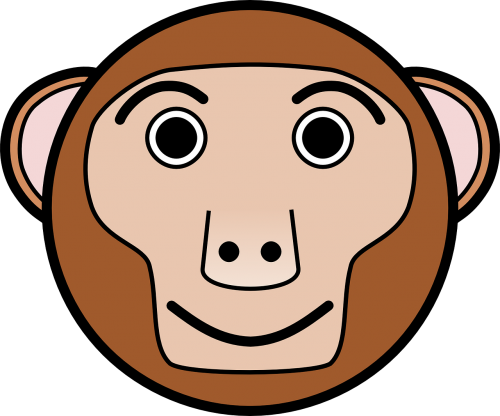 head monkey brown