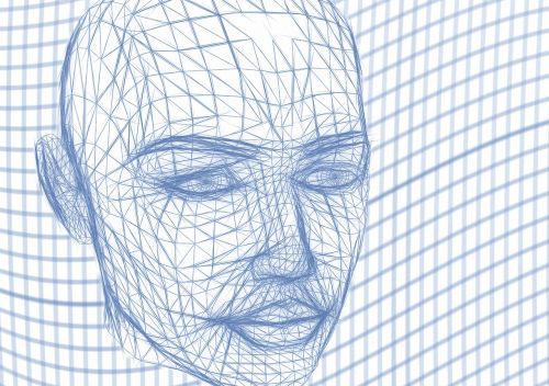 head wireframe face