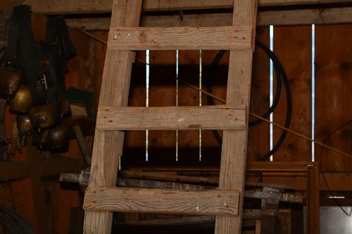 head wooden ladder wood