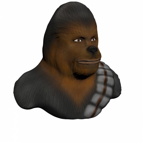 Head Of Chewbacca