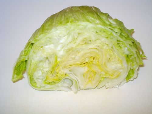 head of lettuce salad iceberg lettuce