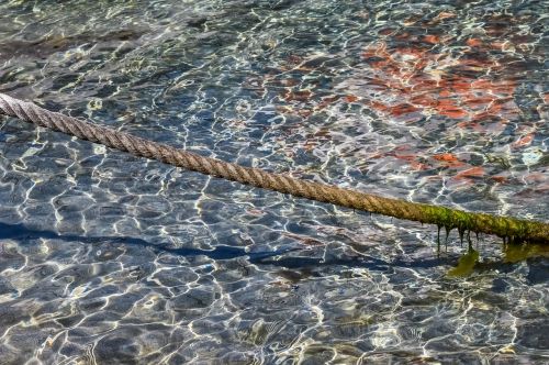 head rope rope nautical