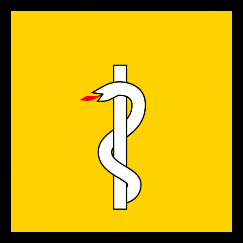 health flag snake