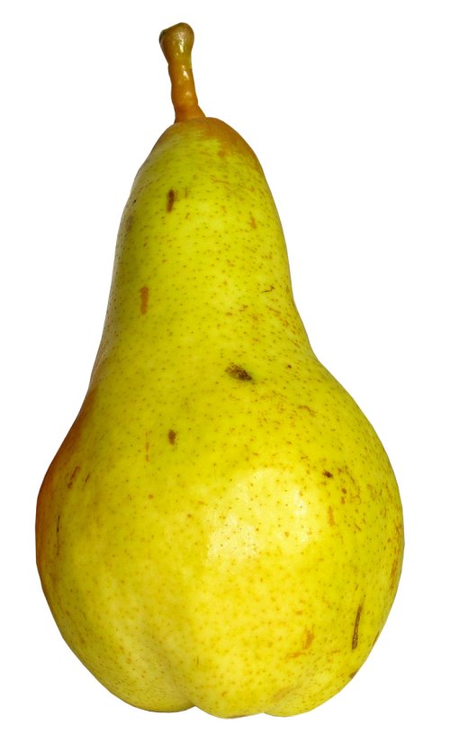 healthy pear fruit