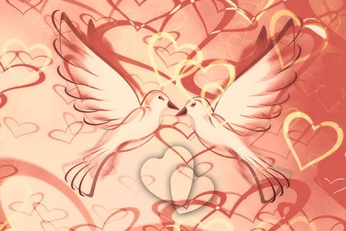 heart background pigeons
