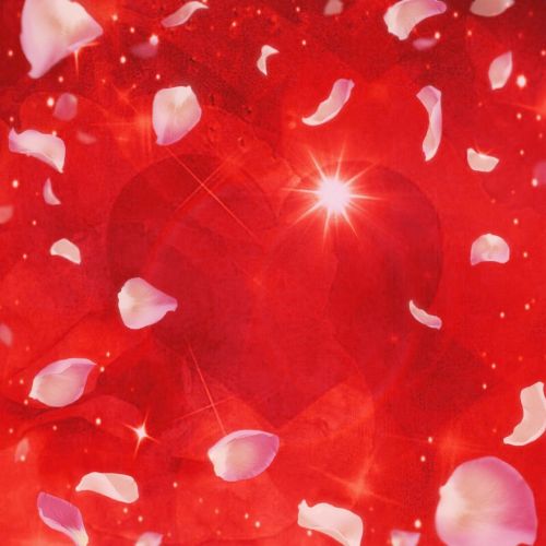 heart rose petals romantic