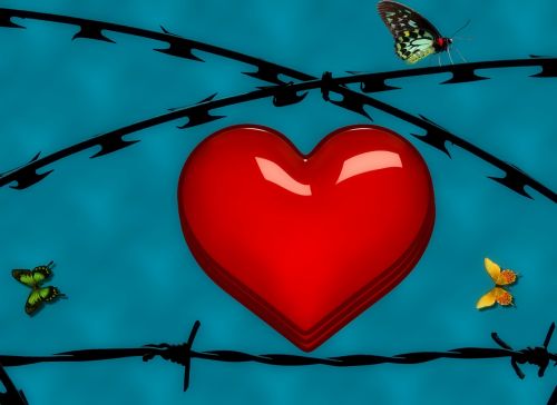heart butterfly barbed wire