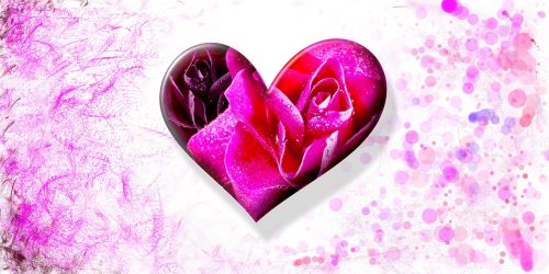 heart love valentine's day