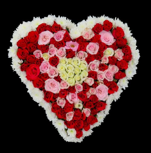 heart flowers roses