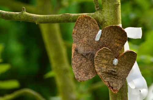 heart love bark