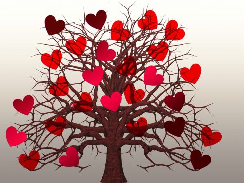 heart tree love