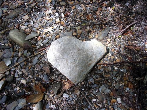 heart pierre love
