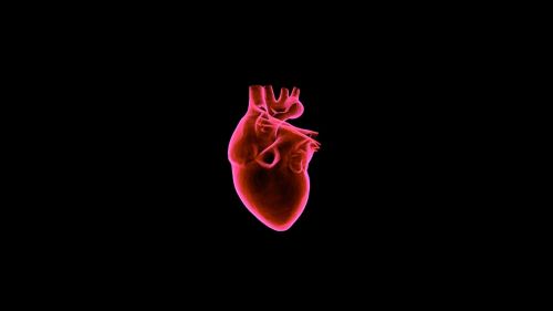 heart medical c