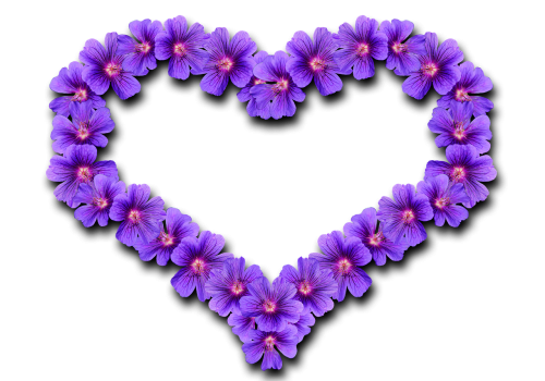 heart flowers love