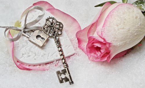 heart key rose