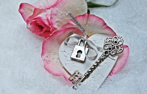 heart key rose