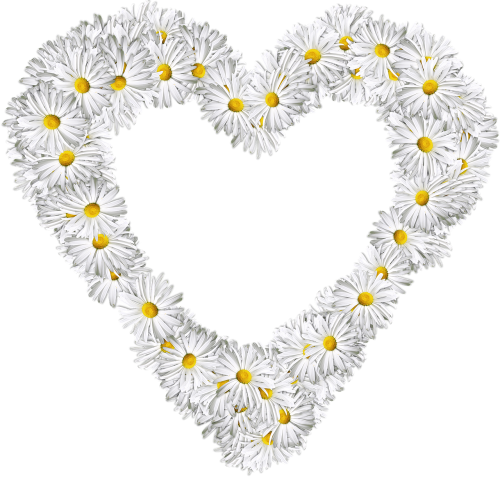 heart flowers png