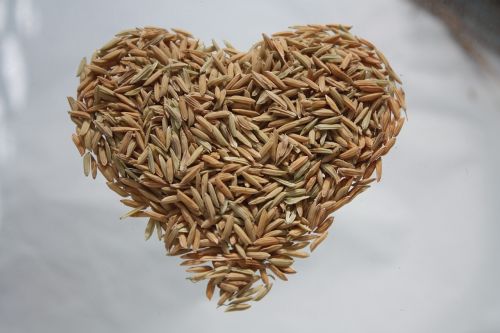 heart rice rice heart