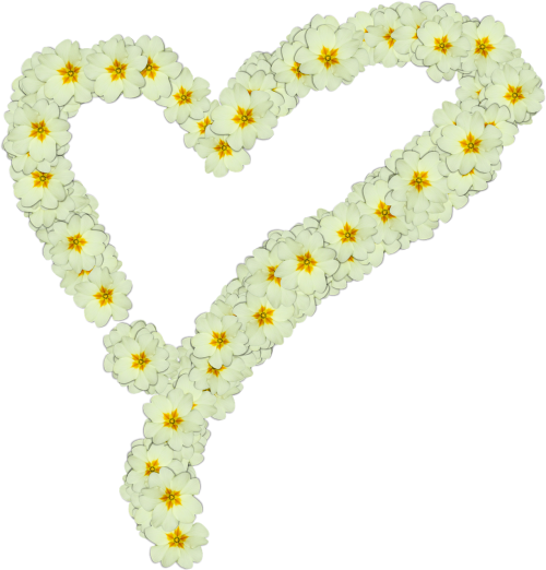 heart primroses png