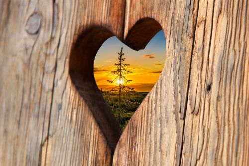 heart wood love