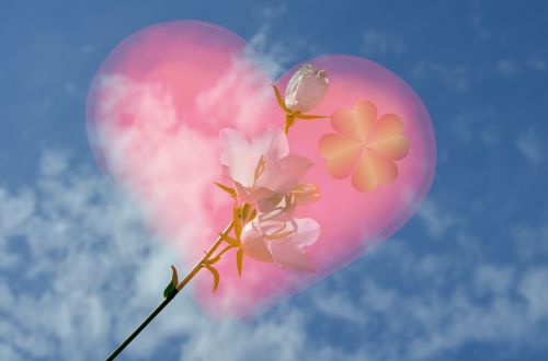 heart flower love