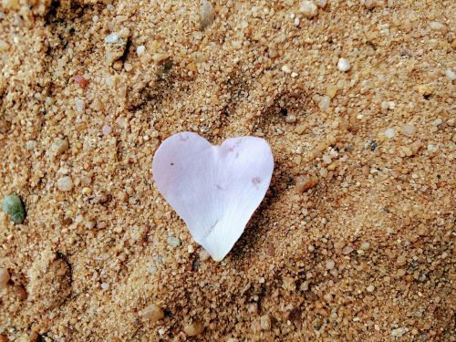 heart sand blossom