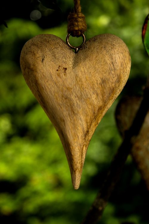 heart love garden