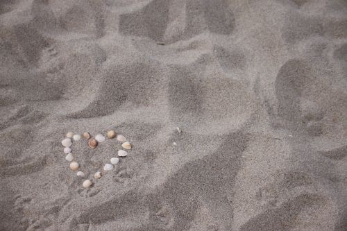heart shell beach