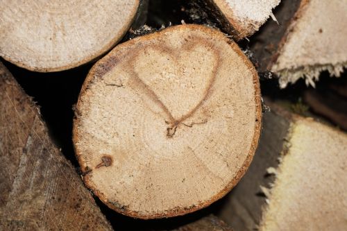 heart love wood
