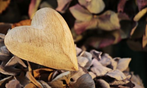 heart wooden heart wood