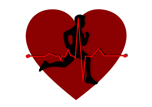 heart pulse circuit