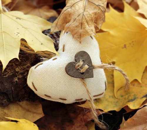 heart autumn leaves