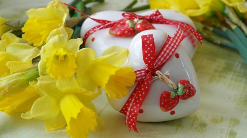 heart love gift daffodils