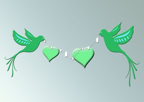 heart  love  birds